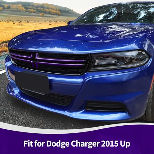 RT-TCZ for Charger Front Grill Grille Inserts Trim Cover Purple for Dodge Charger 2015 up Purple Exterior Accessories 4pcs by RT-TCZ - Used condition - Image 4