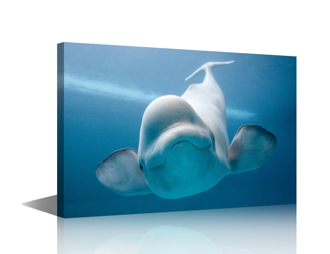 White Whale in Alaska Wall Art Painting on Canvas Beluga Whales Bedroom Wall Art Modern Home Decor Ocean Animals House Decor for Living Room Bathroom Pictures Stretched on Wooden Frame, 18x12in — image 1