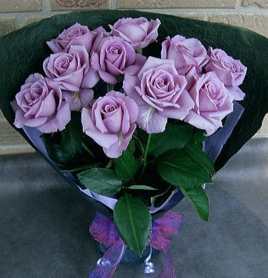 Amazon.co.jp: [Christmas Limited Time: 12/22 – 12/25