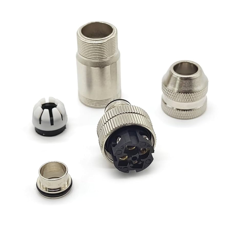 おみず様 フサギンポ、ヒラメ フサギンポ(2024.04.30) - WEB魚図鑑