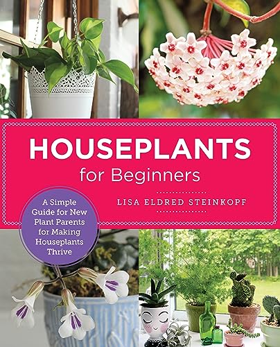 Houseplants for Beginners: A Simple Guide for New Plant Parents