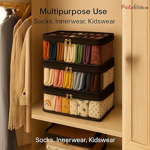 Image of FAB ELLITE Double Sided Hanging Organizer with 30 Clear Pockets | Wall Hanging Closet Storage for Socks Bra Underwear & Accessories Shelves Storage (Double-Sided Hanging Organizer, PVC Socks)