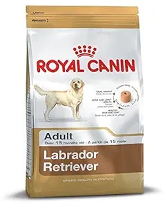 Royal Canin Labrador Retriever Breed Health Nutriton Adult Dog Food (3 Kg)