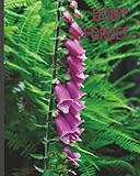 Independently published