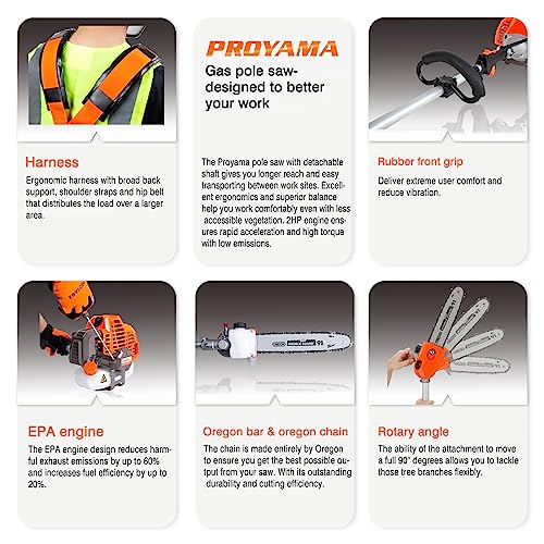 PROYAMA 42.7cc Adjustable Pole Saw