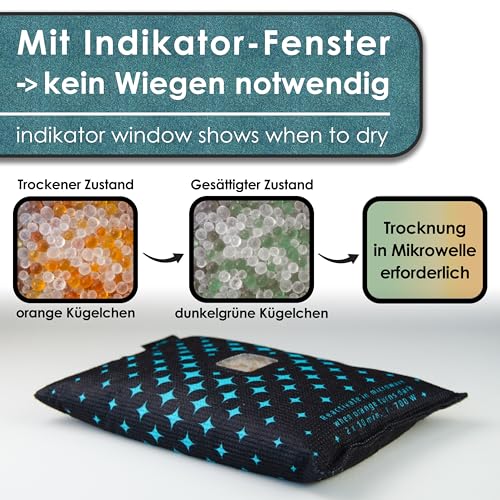 King Kong State Luftentfeuchter für Autos - XXL Entfeuchter-Kissen 2x 1,2kg für beschlagene Autoscheiben - mit Indikator-Fenster und Anti-Rutsch-Pad