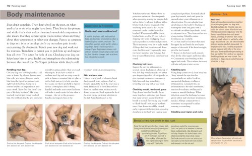 New Dog: Choosing Wisely and Ensuring a Happy Ever After