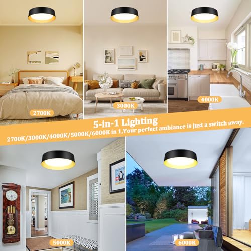 Image of Flush Mount Ceiling Light, 16in Modern Ceiling Light 5 Color Temperature