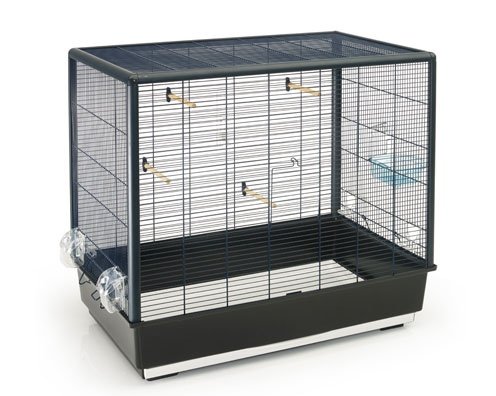 鳥かご　特大　ベルギー　SAVIC Amazon | 【ALLFORWAN'sLIFE】 サヴィッチ 鳥かご ベルギーSAVIC