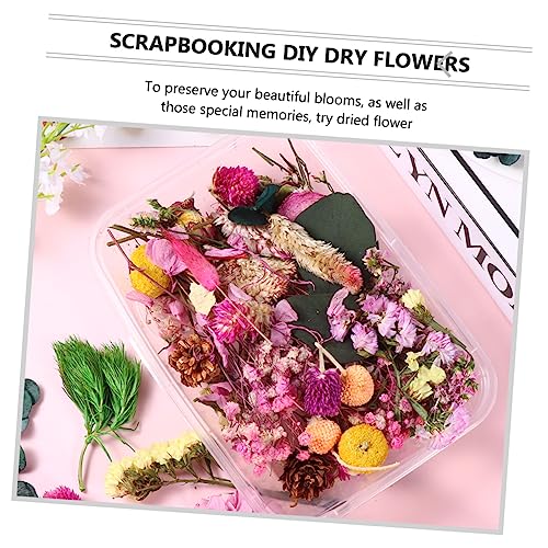 Cabilock Deco. Flores Secas en 6 Cajas para Manualidades miniatura 6