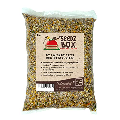 Amazon.co.uk Most Wished For Items that customers have added to Wish Lists and registries most