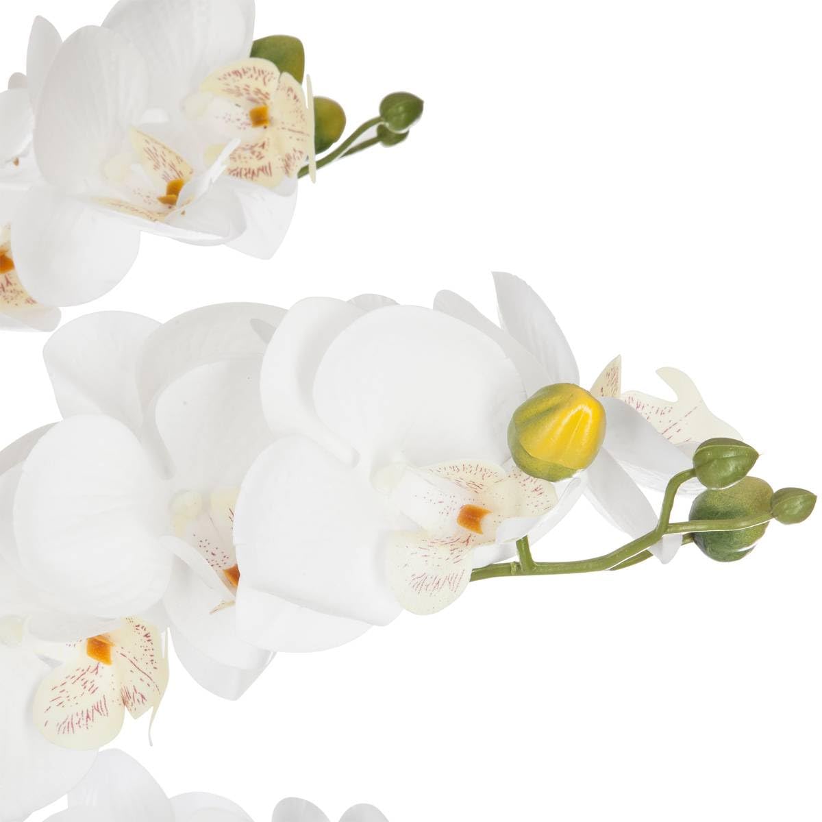 Atmosphera - Orchidée Pot céramique Noir H65