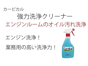 エンジンルームクリーナー(環境対応品) テンジ [エンジンルームクリーナー 600ml] : オイルなどの頑固な
