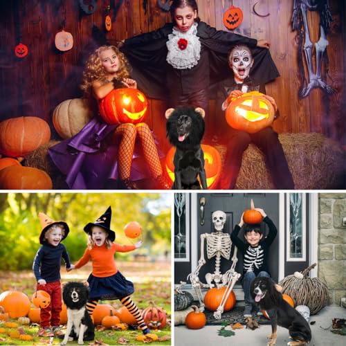 Vivifying Löwenmähne für Hunde, anpassbar Hund Halloween Kostüme Löwenmähne Perücke mit Schwanz für mittlere und große Hund verkleiden (Schwarz)