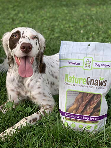 Nature Gnaws - Long Lasting Dog Chews For Dogs - Puppy Chew Treats - Chew Bones - Puppy Bully Sticks And Chew Sticks - Puppy Bones For Teething - Combo Bag - Natural, Rawhide Free (12 Count) #TOP7
