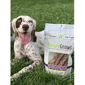 Nature Gnaws Variety Pack for Small Dogs 12 Count Bully Sticks Beef Tendons and Tripe Twists for Dogs Natural Long Lasting Beef Dog Chew Bones Rawhide Free