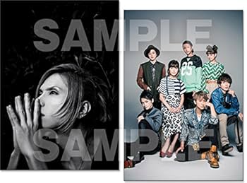 DVD CD ポスター レア 非売品 ごくせん 仲間由紀恵 2008 DVD告知ポスター B2