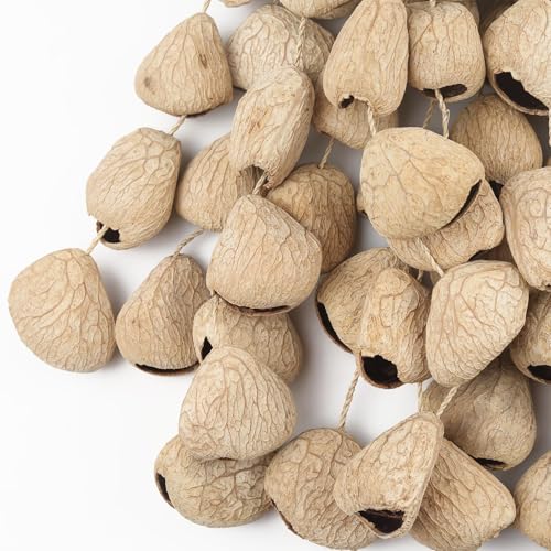 image for GOGHOST African Natural Cacho Seed Rattle Hand Percussion Gifts Peruvi