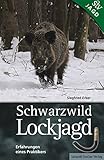 lockjagd  Schwarzwild Lockjagd: Erfahrungen eines Praktikers