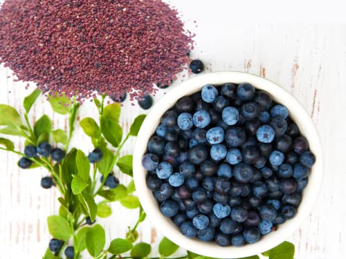 Home Grown Seeds Homegrown Non GMO Blueberry Seeds, Climax (575), red Home Grown Seeds Homegrown Non GMO Blueberry Seeds, Climax (575), red