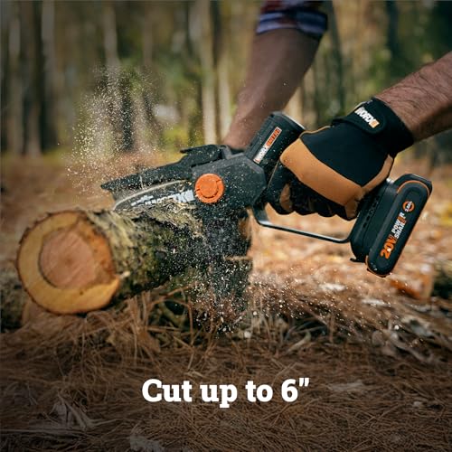 Worx 5