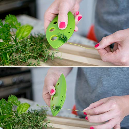 DAYREE 9 Holes Stainless Steel Leaf Herb Stripper with Blade and 3 PCS Plastic Herb Pealer for Chard, Mint, Thyme, Basil, Collard Greens, Rosemary - Thumbnail 2