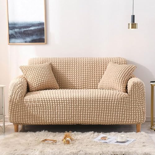 \t@Jo[ \t@[Jo[ }`Jo[ It Xgb`f Lkǂ _炩 ӂӂ kfUC \t@[ی 􂦂   DG芴 lGKp (x[W, 4l|)