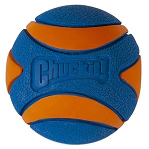 Chuckit Ultra Squeaker Ball Dog Toy Large 3 Inch 1 Pack for Large Breeds  Cucciolini Doodles Chuckit ultra squeaker ball dog toy large 3 inch 1 pack for large breeds   cucciolini doodles