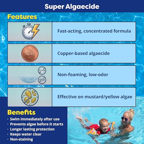 Image of In The Swim Super Algaecide - 7.1% Chelated Copper - 1 Quart