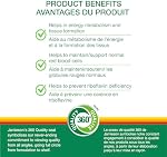 Jamieson Vitamin B2 Riboflavin 100 mg, 100 Tablets, Supports Metabolism and Energy Production, Healthy Red Blood Cells. Vegetarian, No Artificial Flavours, Colours or Preservatives, Proudly Canadian