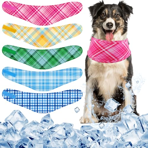 Dansydaisy 5�� �� ��p �o���_�i �� �C���X�^���g ��p �l�b�N���b�v �ʋC�� �A�C�X�X�J�[�t �y�b�g �q�[�g�����[�t �x�[�V�b�N�J���[ �� �� �� �y�b�g �n���e�B���O �g���[�j���O �L�����v �A�N�Z�T���[ �ėp(XL)