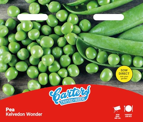 Carters Kelvedon Wonder Pea Seeds Heavy Yielding Early Garden Peas RHS AGM Awarded Successional Sowing Mildew & Wilt Resistant Vegetable Seed