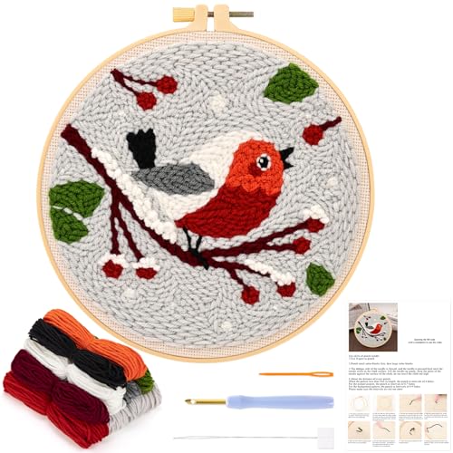 JSRQT Punch Needle Kit for Beginners DIY Cross Stitch Rug Embroidery Kit with Little Bird Pattern for Adult Kids Punch Needle Starter Kit with Tool for Home Decor