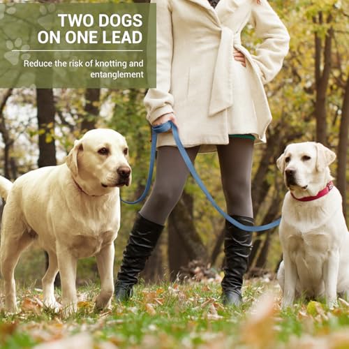 PETCOOZ Hundeleine 3 m Verstellbare Schleppleine, Verdickte Doppelleine Führleine für Hunde bis 30 kg für Kleine Mittelgroße Hunde, Freihandleinen Übungsleine aus Nylon mit 2 Karabiner, Dunkelblau