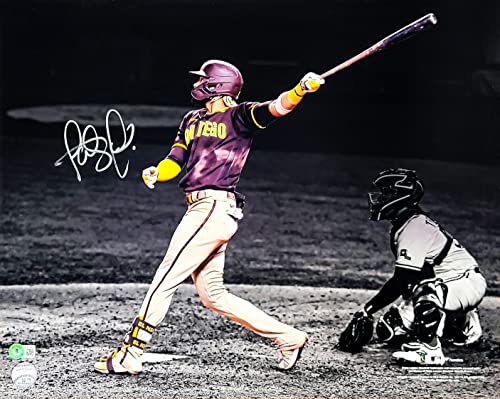 Image of Fernando Tatis Jr. Autographed 16x20 Photo Baseball Spotlight In Silver Beckett BAS QR Stock #202104