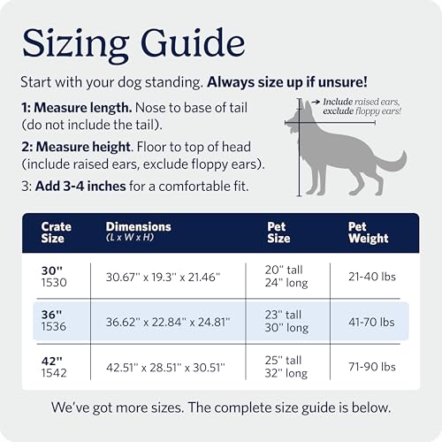 MidWest Homes for Pets iCrate Hundebox, klappbar, 1 Tür, Trennwand, auslaufsichere Bodenwanne, sichere Riegel, Metalldraht, für mittelgroße bis große Rassen, tragbar, robust, einfacher Aufbau, 91 cm