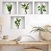 Adesivi Murali Piante 3D,Adesivi Murali Bagno,Adesivi Murali Vaso 3D,Adesivi Murali Piante Verdi,Adesivi Murali Cucina,Adatti Per Soggiorno,Camera da Letto,Bagno,ecc(4 Pezzi) #2