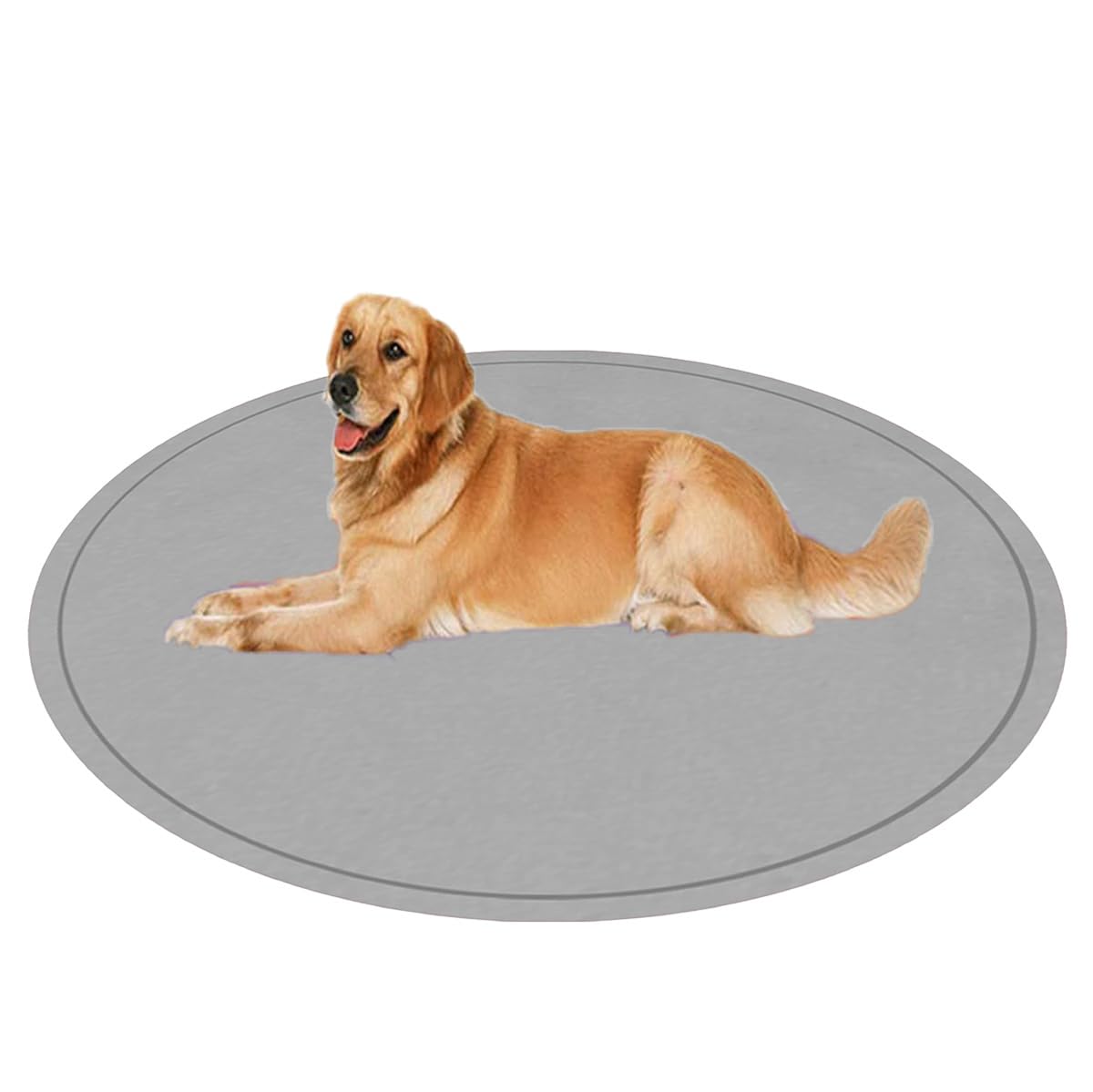 Matelas lavable pour chien grand format pour un entretien sans effort