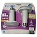 Philips Slimstyle 65W LED Flood Lights, Soft White (2 Pack)