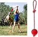 OFKPO 3PCS Juguetes Interactivos para Perros, Pelota de Goma Natural en Una...