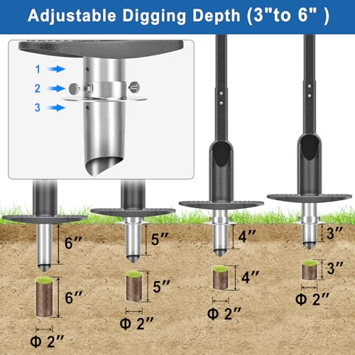 BeneLabel Adjustable Plugger