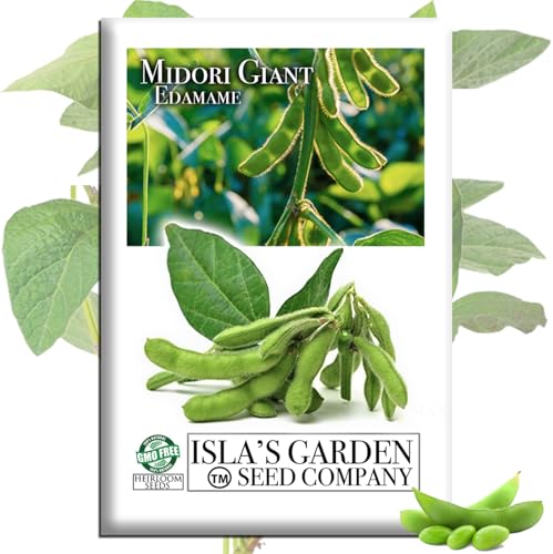 Midori Giant Edamame Seeds (Glycine max) 25+ Heirloom Non-GMO Seeds by Islas Garden Seeds Large Tender Pods High-Yield Soybeans Ideal for Fresh Eating Boiling Garden Beds Containers