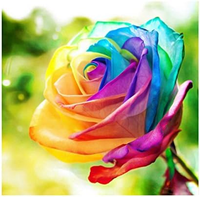 Mobicus 5D DIY Diamond Painting Crafts Kits，Rainbow Rose（14X14inch）