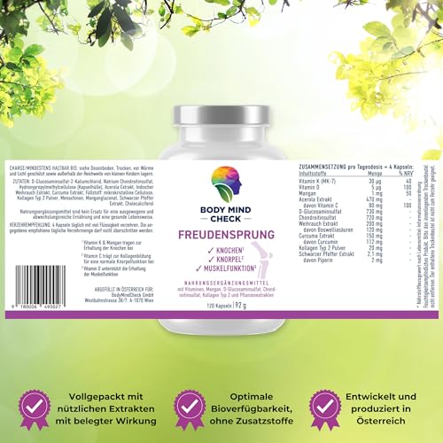 Gelenkkapseln BodyMindCheck FreudenSprung hochdosiert 120 Kapseln