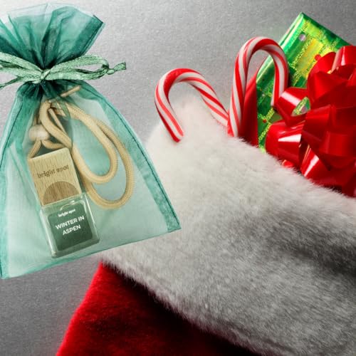 Image of Car Air Freshener - Premium Car Hanging Air Freshener, Long-Lasting Fragrance for Auto and Home (0.2 Fl Oz (Pack of 1), Winter in Aspen - Pine, Caramel, Vanilla)