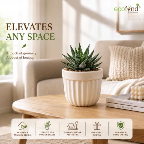 Image of ecofynd 3.5 Inch Ceramic Plant Pots with Drainage Hole, Modern Decorative Clay Flower Pots for Indoor Plants, Decorative Tabletop Planters for Home, Office, Living Room, Bedroom & Shelf (CPOT046-WHT)