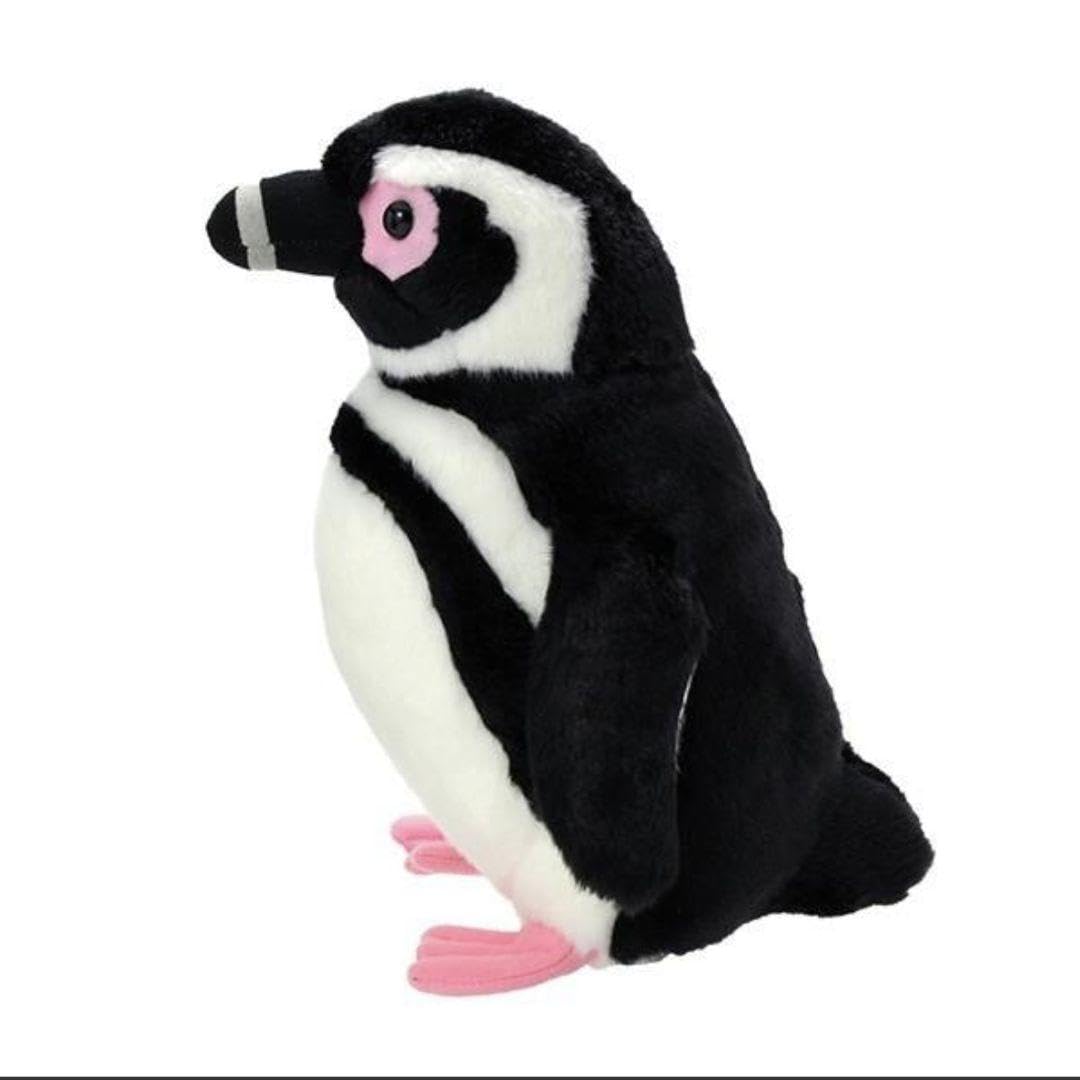 Amazon.co.jp: すみだ水族館 オリジナル 飼育員監修 マゼランペンギン 