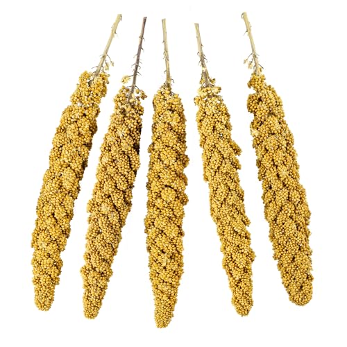 JOR Bird Spray Millet, Premium Treats for Parakeets, Finches, Canaries, Budgies & Small Pet Birds, Sun Dried and Vacuum-Sealed Freshness, Yellow and Brown Color, 8'- 12', 3 oz. per Pack  