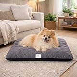 SympaTierisch Hundebett waschbar & wasserdicht – Hundematte/Hundekissen für große & mittelgroße Hunde – rutschfest, extra gepolstert, atmungsaktiv – grau | 60x50x8 cm