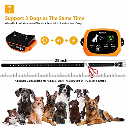 Wireless Dog Fence in Use
